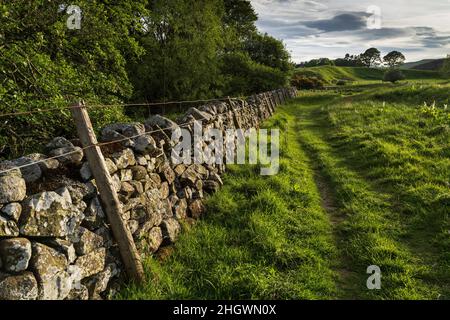 Hethpool, près de Wooler, Northumberland - College Valley, contreforts de Cheviot.Mur en pierre sèche. Banque D'Images