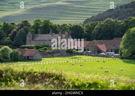 Hethpool, près de Wooler, Northumberland - College Valley, contreforts de Cheviot.Hethpool Farm. Banque D'Images