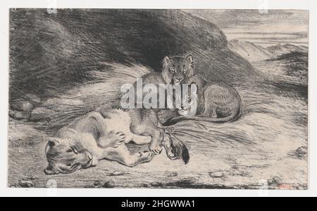 Lioness et Cubs peut-être 1832 Antoine-Louis Braye les compétences de Barye français en tant que lithographe sont démontrées dans ce groupe familial librement dessiné.La forme inerte de la lionne dormante contraste avec les arres à yeux larges de ses petits méfiants.Les études des lions, que l'artiste a faites dans les jardins zoologiques de Paris, sous-tendent le raccourcissement prudent de l'adulte allongé.Lioness et Cubs.Antoine-Louis Braye (français, Paris 1795–1875 Paris). Peut-être 1832.Lithographie.Imprime Banque D'Images