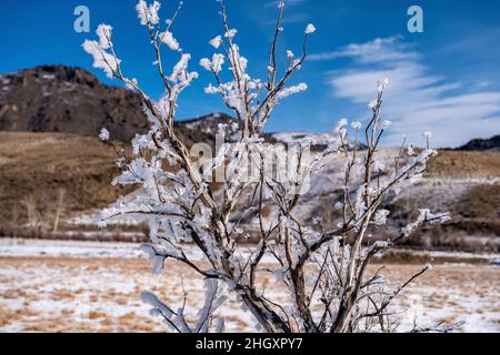 Horseshoe Bend sur Silver Creek Banque D'Images