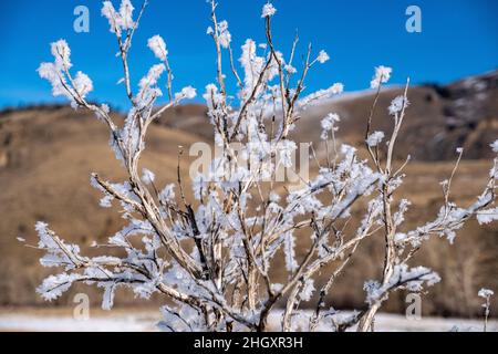 Horseshoe Bend sur Silver Creek Banque D'Images