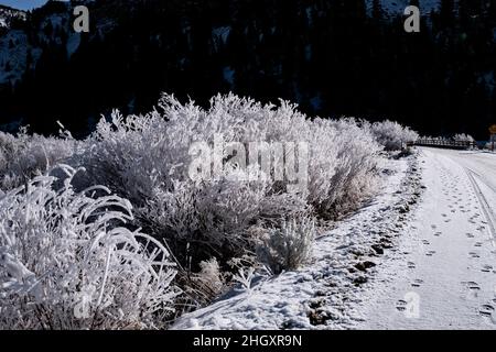 Horseshoe Bend sur Silver Creek Banque D'Images