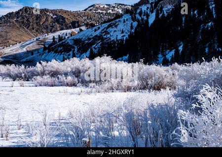 Horseshoe Bend sur Silver Creek Banque D'Images