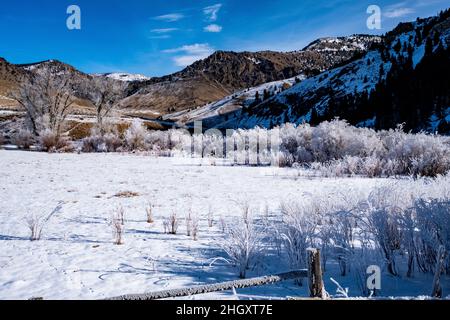 Horseshoe Bend sur Silver Creek Banque D'Images