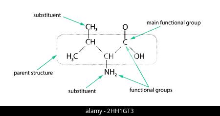Formule chimique.Substituant.Illustration vectorielle Illustration de Vecteur