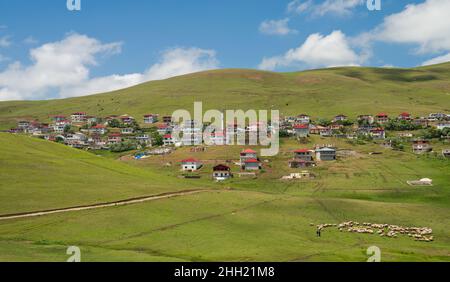 Plateau de Persembe en été.Les maisons des Highlands et les moutons paissent dans les prés.Les destinations de voyage les plus importantes de la région de la mer Noire. Banque D'Images