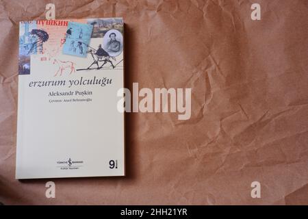 'Erzurum Yolculugus' notes de voyage du célèbre écrivain russe Alexander Pushkin traduit en langue turque par Ataol Behramaoglu par is Kultur Yayinlar Banque D'Images