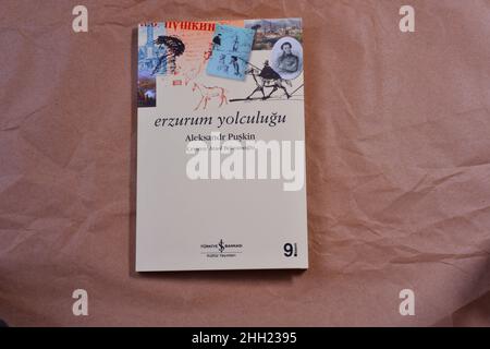 'Erzurum Yolculugus' notes de voyage du célèbre écrivain russe Alexander Pushkin traduit en langue turque par Ataol Behramaoglu par is Kultur Yayinlar Banque D'Images