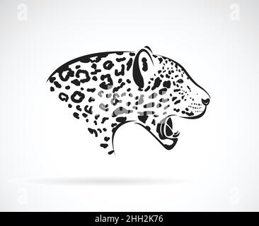Vecteur d'un léopard sur fond blanc.Animaux sauvages.Illustration vectorielle superposée facile à modifier. Illustration de Vecteur