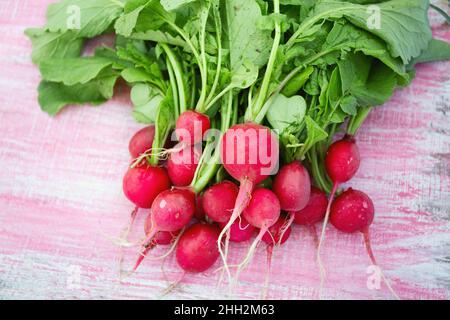 radis sur surface en bois Banque D'Images