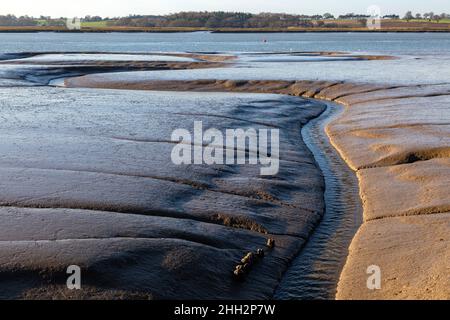 Canaux de drainage dans les vasières de l'estuaire à marée basse de la rivière Deben, Sutton, Suffolk, Angleterre, Royaume-Uni Banque D'Images