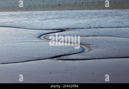 Canaux de drainage dans les vasières de l'estuaire à marée basse de la rivière Deben, Sutton, Suffolk, Angleterre, Royaume-Uni Banque D'Images