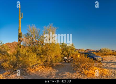 Camping à Margies Cove West Campground, Maricopa Mountains, Sonoran Desert National Monument, Arizona, Etats-Unis Banque D'Images