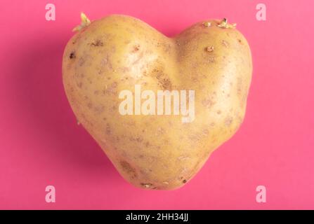 photographie horizontale d'une pomme de terre en forme de coeur isolée sur fond rose, concept de valentin Banque D'Images