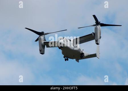 Bell Boeing MV-22 Osprey Banque D'Images