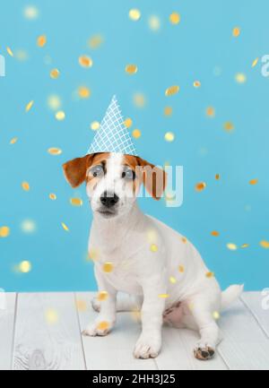 Portrait D Un Chien Dans Un Chapeau Celebrant Son Anniversaire Avec Un Gateau Et Des Bougies Et Des Decorations De Fete Joyeux Anniversaire Pour Animal De Compagnie Photo Stock Alamy