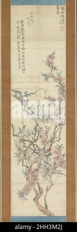 Fleurs de Peach rouge et blanc, esquisse préparatoire 1843 Tsubaki Chinzan Japanese cette paire de rouleaux (avec 1975.268.115) offre un aperçu unique du processus de studio d'un peintre travaillant dans la phase ultérieure de la tradition Nanga.Le défilement sur la droite est un shita-e, ou esquisse préparatoire, pour le travail terminé sur la gauche.Tsubaki Chinzan a construit la composition en utilisant une méthode de collage: Les branches en haut à gauche, par exemple, semblent avoir été peintes sur une feuille séparée, que l'artiste a ensuite collée dans la version préliminaire.Chinzan a ensuite copié cette composition sur le fi Banque D'Images