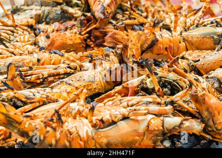 Homard grillé cuisiné au charbon de bois sur la plage de sable, Zanzibar, Tanzanie Banque D'Images