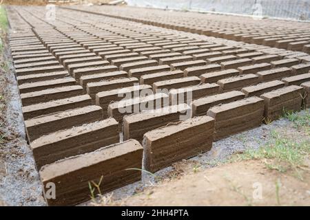 Fabrication de briques à partir d'argile.Après que l'argile est moulée en briques, après qu'il est disposé et séché dans la cour dans le soleil avant d'être brûlé pour faire Banque D'Images