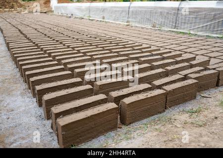 Fabrication de briques à partir d'argile.Après que l'argile est moulée en briques, après qu'il est disposé et séché dans la cour dans le soleil avant d'être brûlé pour faire Banque D'Images