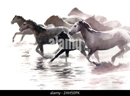 Aquarelle délicate dans une gamme étroite de couleurs: Un troupeau de chevaux galant à travers l'eau.Chevaux peints avec de l'eau et du soleil. Banque D'Images