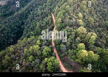 Vue aérienne de drone sur une forêt luxuriante avec route sinueuse dans la forêt tropicale au parc national Banque D'Images