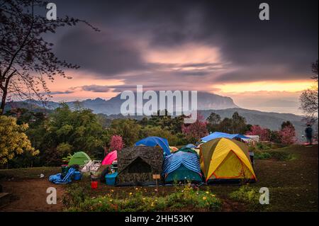 Couleurs tentes touristiques pitching attendant le lever du soleil sur Doi Luang Chiang Dao montagne avec nuageux et forêt de printemps dans le parc national de San Pa Kia, C Banque D'Images