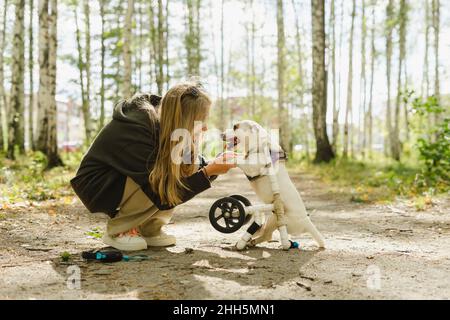 Fille tenant des pattes de chien handicapé dans le bosquet de bouleau Banque D'Images