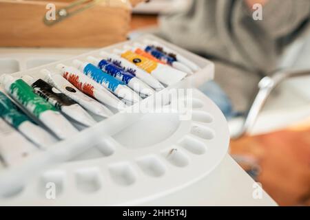 Tubes de peinture disposés dans une boîte au-dessus de la palette Banque D'Images