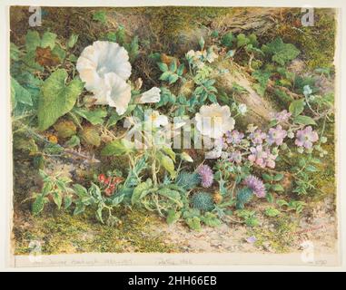 Étude sur les fleurs 1866 John Jessop Hardwick les pétunias britanniques, les roses sauvages, les thistles et les baies rouges sont ici exposés comme si croissant parmi la mousse et les billes tombées.Une mise au point étroite et une délimitation minutieuse démontrent l'influence de William Henry Hunt (britannique, 1790–1864),Qui avait été élu à la Old Watercolor Society en 1826 et s'était spécialisé dans les sujets rustiques et les vies encore, en développant une technique qui impliquait la construction de couches denses de couleur sur un sol de gouache blanc pour créer la luminosité.Hartwick utilise cette manière ici pour affiner l'effet.En tant qu'étudiant, il a remporté un prix d'aquarelle à Somerse Banque D'Images