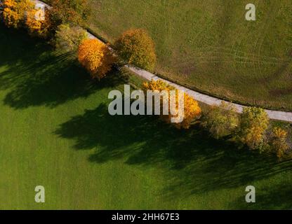 Vue de drone sur la route de campagne en automne Banque D'Images