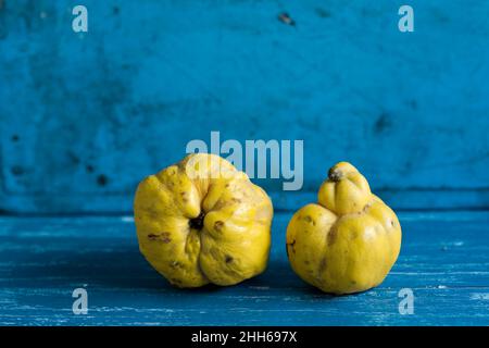 Studio de deux quinces mûres sur une surface en bois bleu Banque D'Images