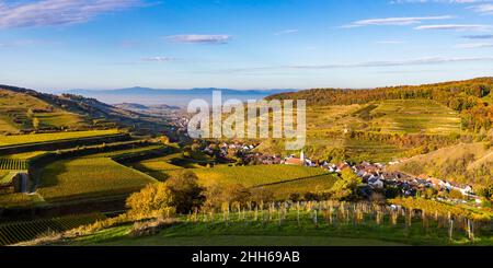 Allemagne, Bade-Wurtemberg, Vogtsburg im Kaiserstuhl, vignobles entourant la ville rurale dans la gamme Kaiserstuhl Banque D'Images