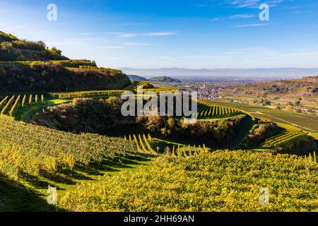 Allemagne, Bade-Wurtemberg, Vogtsburg im Kaiserstuhl, vignobles d'automne dans la gamme Kaiserstuhl Banque D'Images