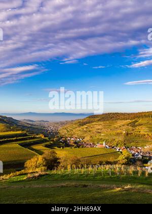 Allemagne, Bade-Wurtemberg, Vogtsburg im Kaiserstuhl, vignobles entourant la ville rurale dans la gamme Kaiserstuhl Banque D'Images