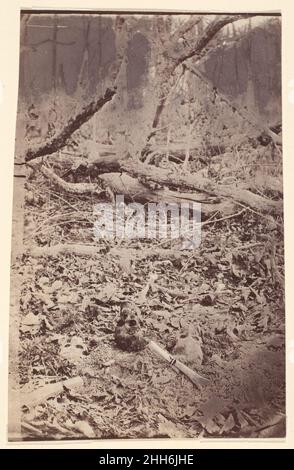 [The Wilderness Battlefield, près de Spotsylvania, Virginie] 1865 (?)Inconnu il y a encore beaucoup à apprendre sur le rôle de la caméra pendant la guerre civile.Un jour, nous en saurons peut-être plus sur certaines des photographies de terrain les plus intrigantes de la guerre : les études macabres sur les crânes et les os inhumés découvertes par un photographe inconnu sur le champ de bataille de Wilderness où les généraux Robert E. Lee et Ulysses S. Grant avaient combattu pour un tirage sanglant en mai 1864.Il semble probable que ces photographies datent de la période d'après-guerre immédiate, pendant les opérations de nettoyage.Imprimé à partir de négatifs qui étaient probablement inint Banque D'Images