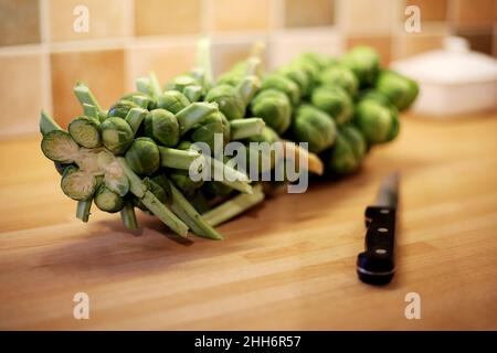 Une tige de choux de Bruxelles prête pour la préparation de la cuisine se trouve sur un plan de travail/table de cuisine à côté d'un couteau tranchant Banque D'Images