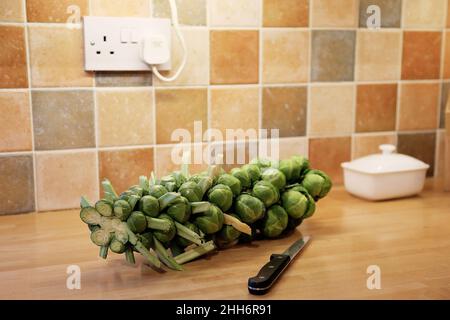 Une tige de choux de Bruxelles prête pour la préparation de la cuisine se trouve sur un plan de travail/table de cuisine à côté d'un couteau tranchant Banque D'Images