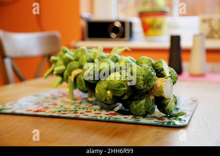 Une tige de choux de Bruxelles prête pour la préparation de la cuisine se trouve sur un plan de travail/table de cuisine à côté d'un couteau tranchant Banque D'Images