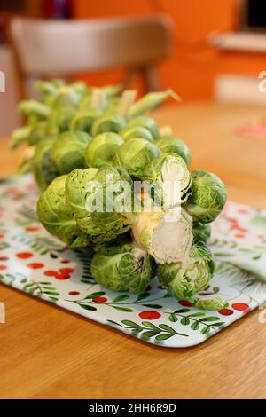 Une tige de choux de Bruxelles prête pour la préparation de la cuisine se trouve sur un plan de travail/table de cuisine à côté d'un couteau tranchant Banque D'Images