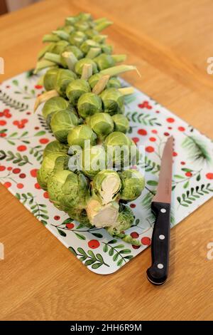 Une tige de choux de Bruxelles prête pour la préparation de la cuisine se trouve sur un plan de travail/table de cuisine à côté d'un couteau tranchant Banque D'Images