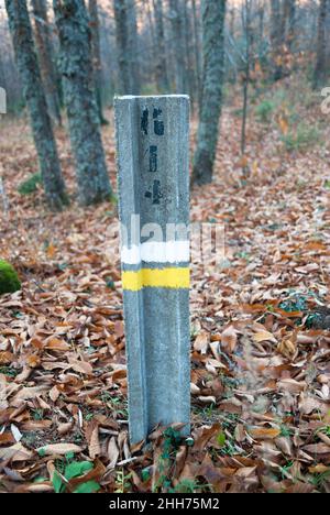 Poteau de signalisation jaune marque blanche petite route locale peinte sur la poutre en béton de ciment Banque D'Images