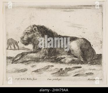 Assiette 5: Lion inclinable, de 'divers animauxs' (versi animatili) 1641 Stefano della Bella Italian.Assiette 5: Lion inclinable, de 'divers animals' (Diversi animatili) 377448 Banque D'Images