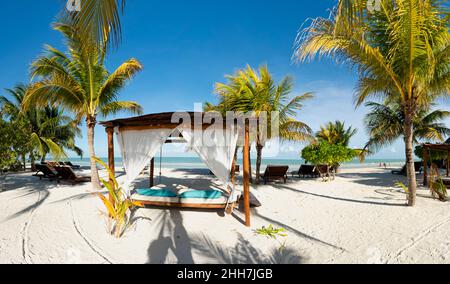 Vue panoramique sur une plage avec belvédère, chaises longues et palmiers tropicaux sur le sable blanc, dans l'île Holbox au Mexique Banque D'Images