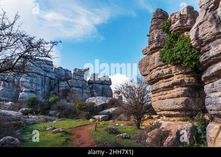 Chemin entre les roches karstiques de la zone naturelle d'El Torcal de Antequera. Banque D'Images