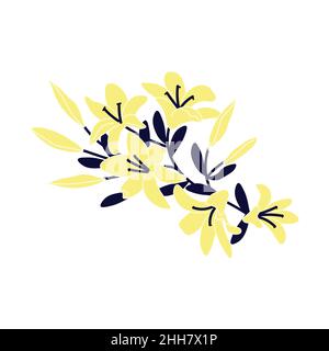 Lys jaunes, bouquet de fleurs en fleurs isolées sur fond blanc.Ensemble vectoriel de fleurs en fleurs.Illustration vectorielle d'art plat. Illustration de Vecteur