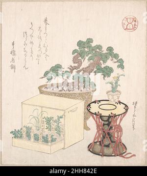 Tambour de pin en pot et sept herbes plantées dans une boîte 18th–19th Century Sunayama Gosei Japonais.Tambour en pot de pin et sept herbes plantées dans une boîte 55117 Banque D'Images