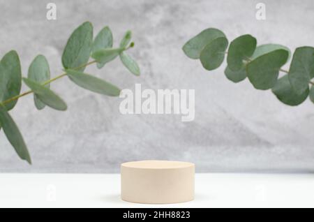 Podium vide pour la publicité de produits cosmétiques.Podium en gypse et eucalyptus sur le fond d'un mur en béton.Vitrine vide pour la publicité Banque D'Images