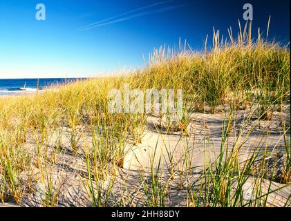 Dunes de sable de Hampton Beach à la fin de l'été Banque D'Images