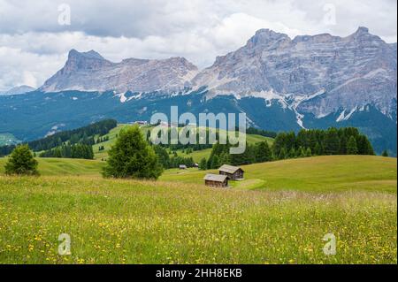 Le plateau de Pralongia au coeur des Dolomites, entre Corvara et San Cassiano Banque D'Images